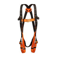 harnais 2 points singer